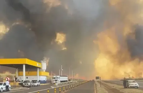 Onda de incêndios causa caos na região de Ribeirão Preto