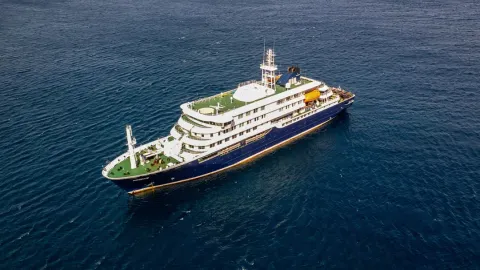 “Paciente zero” do surto de hantavírus em um navio de cruzeiro teria sido identificado como homem que visitou um lixão infestado de ratos