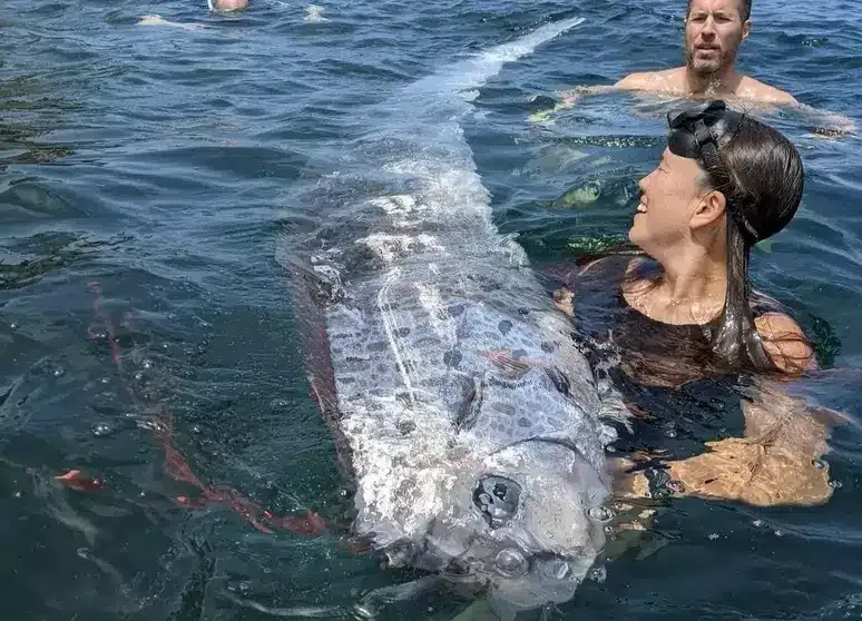 “Peixe do Juízo Final” aparece em praia dos EUA