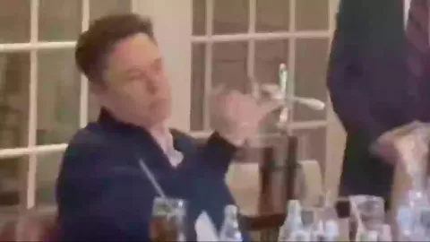 Pessoas ficam perplexas após bizarro vídeo de Elon Musk brin