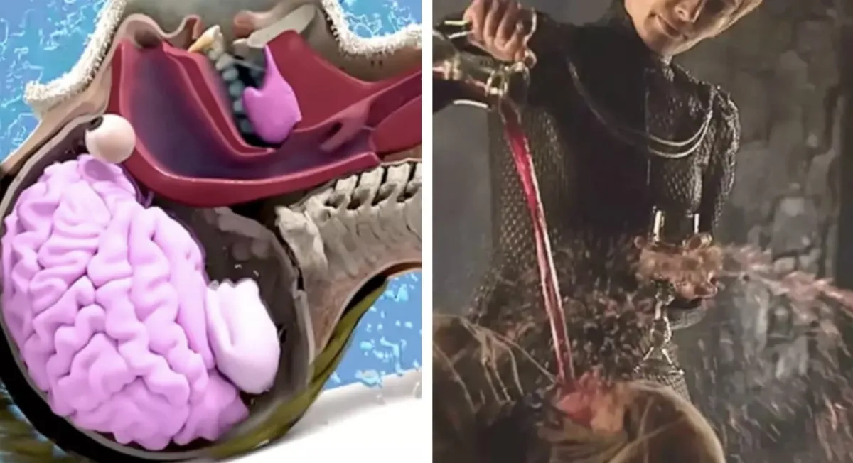 Pessoas ficam ‘traumatizadas’ após vídeo assustador mostrar