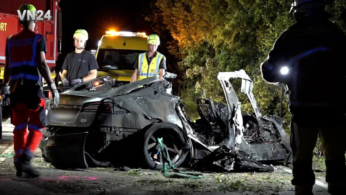 Polícia afirma que motorista de um Tesla e dois filhos foram