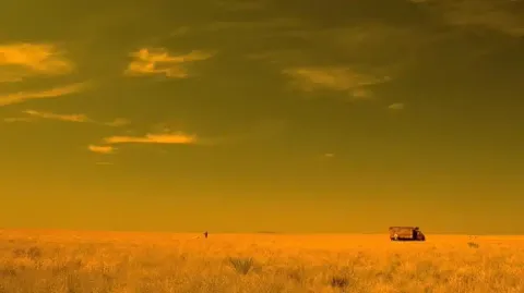 Por que o México sempre tem um filtro amarelo em séries e fi
