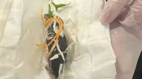 Restaurante se desculpa após cliente encontrar rato em salad
