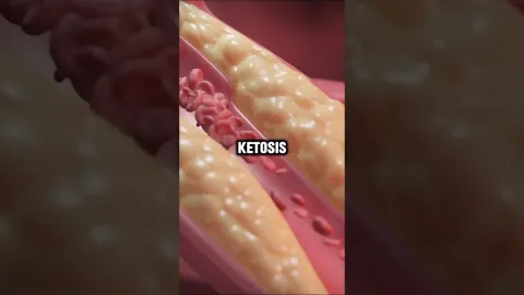 Simulação chocante mostra o que acontece com seu corpo duran