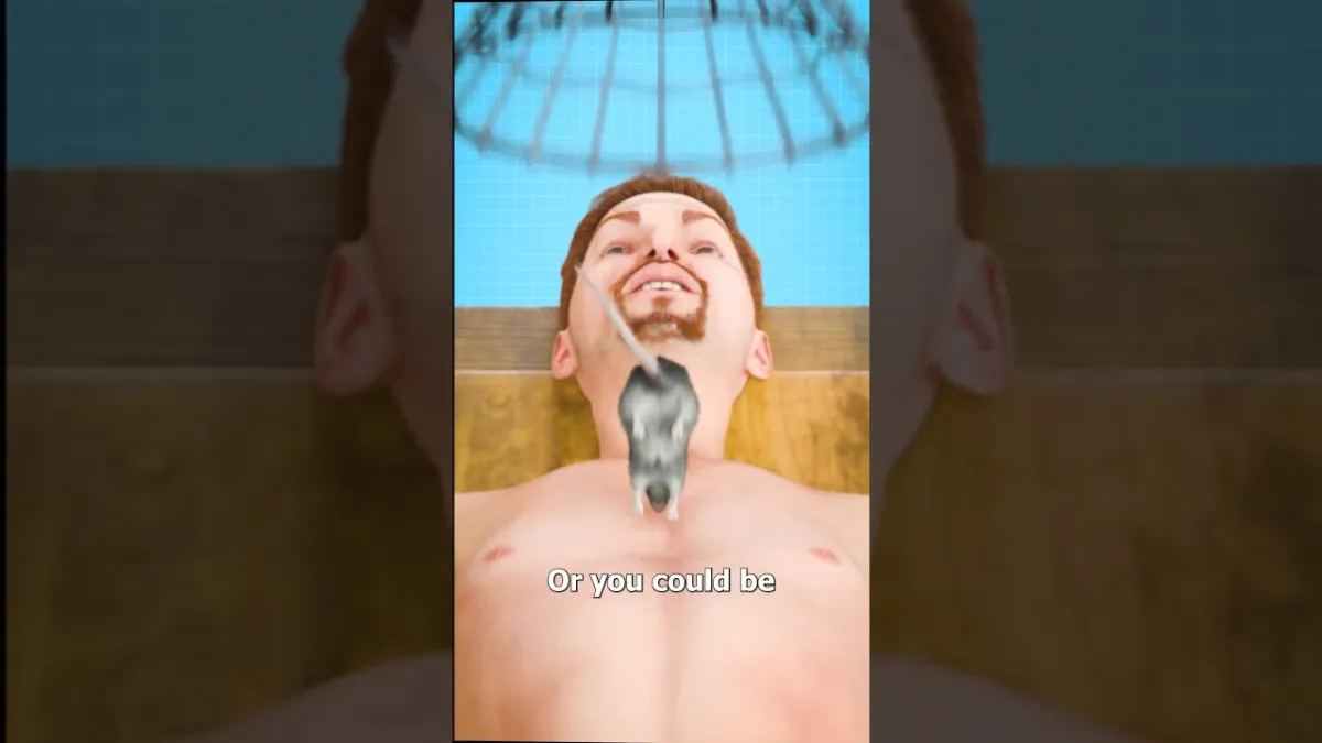 Simulação mostra método sombrio de tortura com roedores que