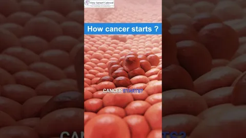 Simulação perturbadora mostra como as pessoas realmente dese