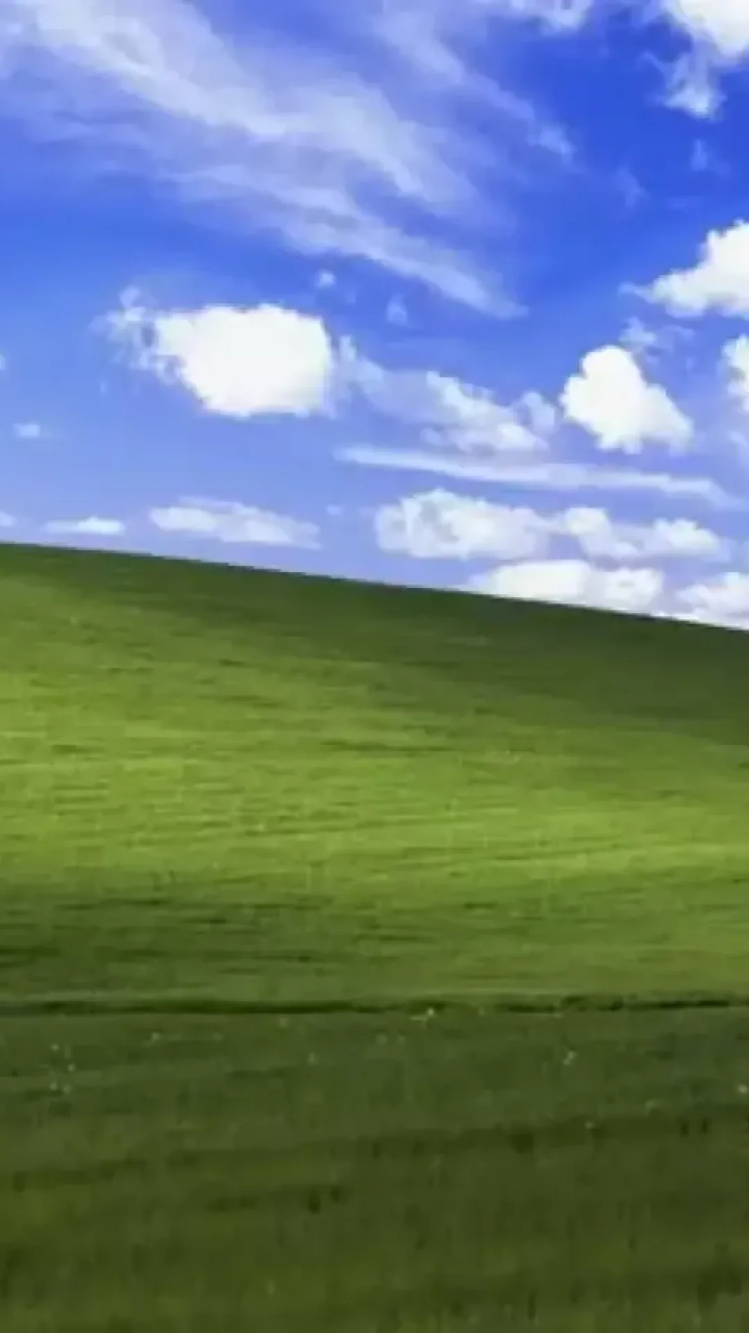A história por trás de ‘Bliss’, o fundo de tela do Windows XP