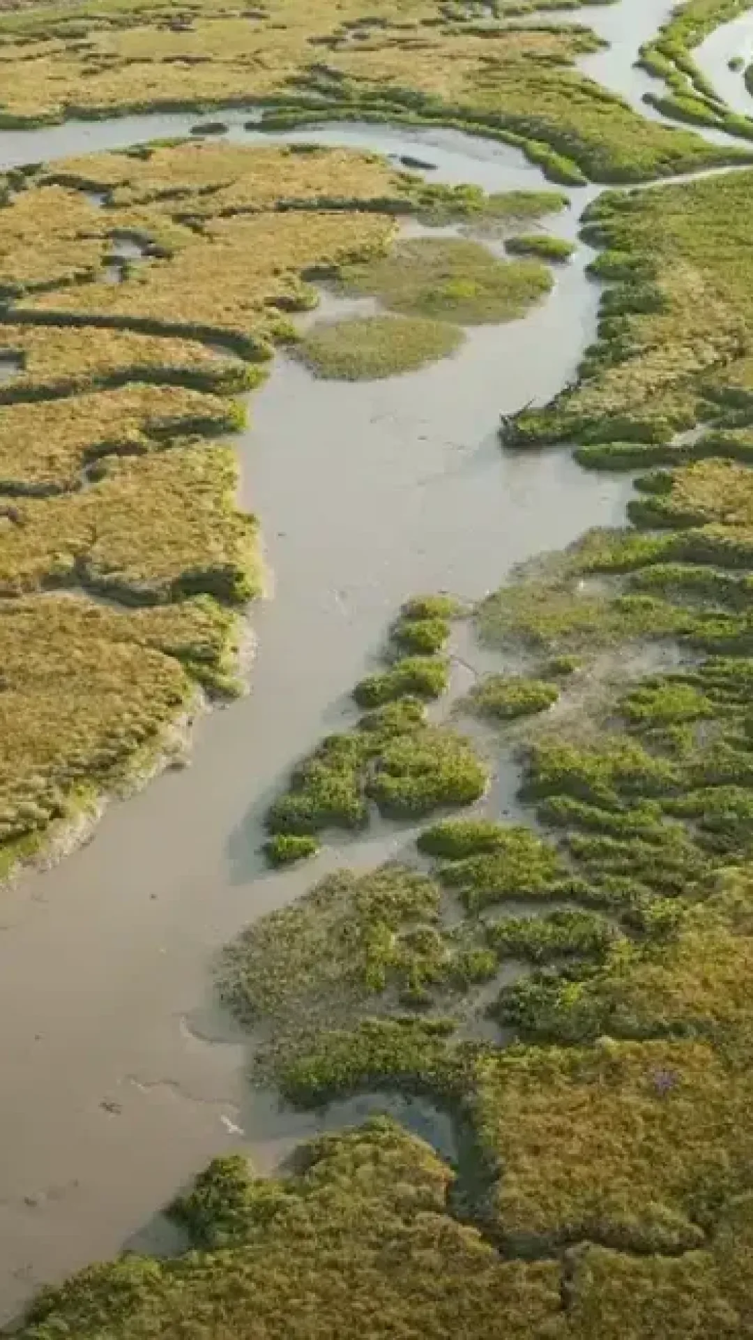 A ‘ilha mais infectada do mundo’ está cheia de crânios humanos