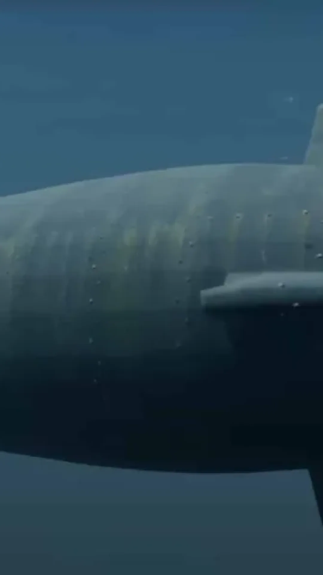 A terrível realidade do que acontece se você ouvir um sonar submarino ativo enquanto estiver debaixo d’água