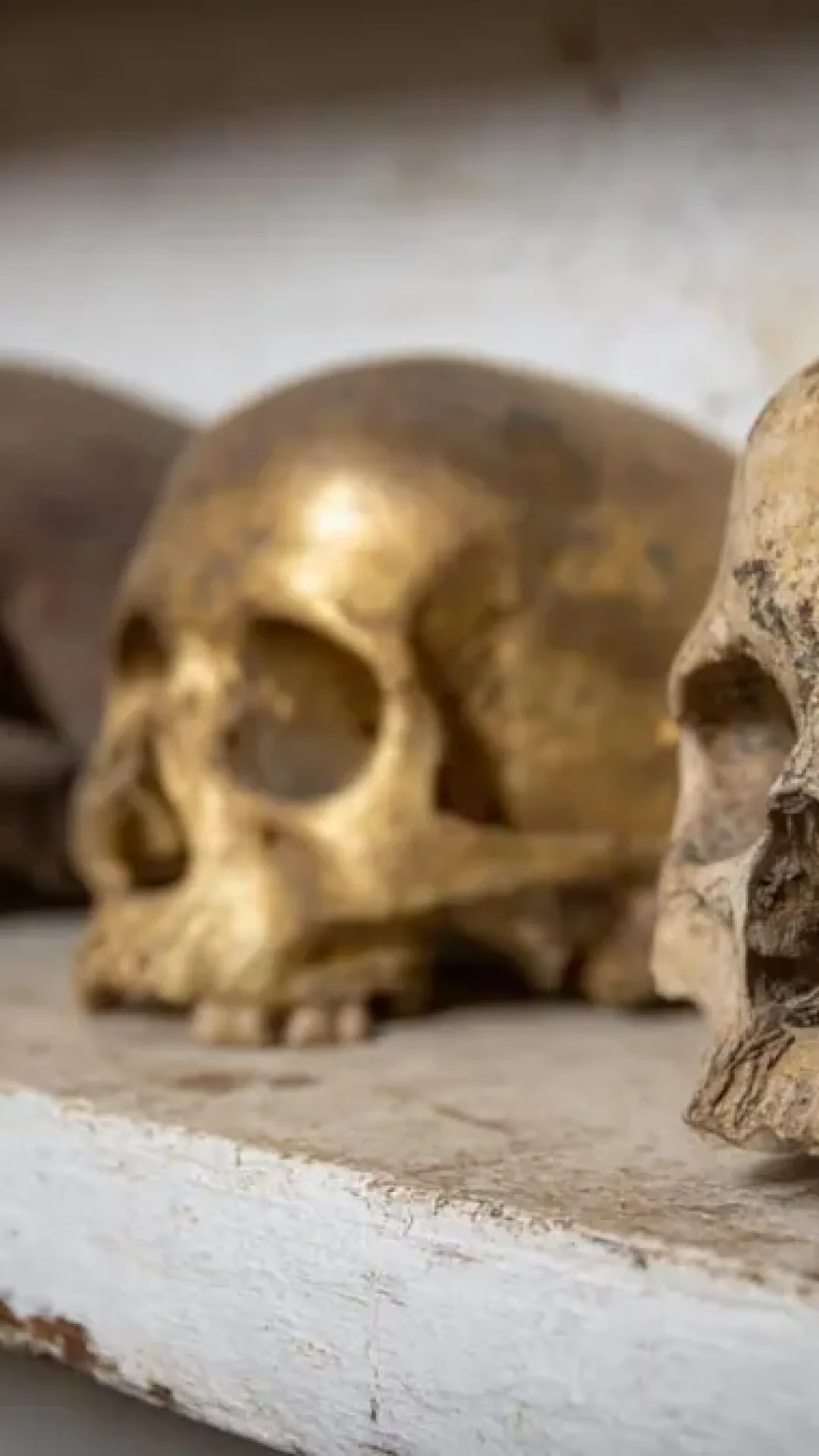 Algo há 900.000 mil anos fez 99% da vida humana ser extinta