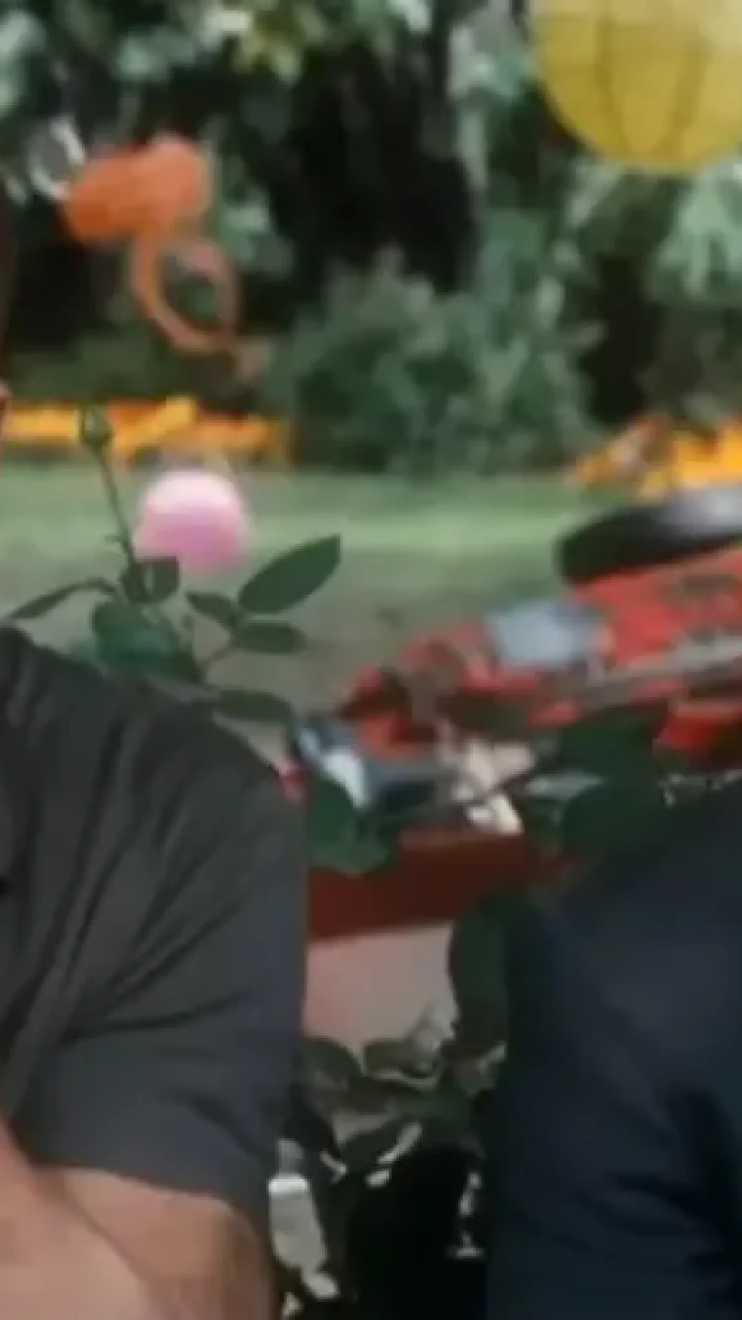 Amor a Toda Prova: A maior reviravolta do cinema?