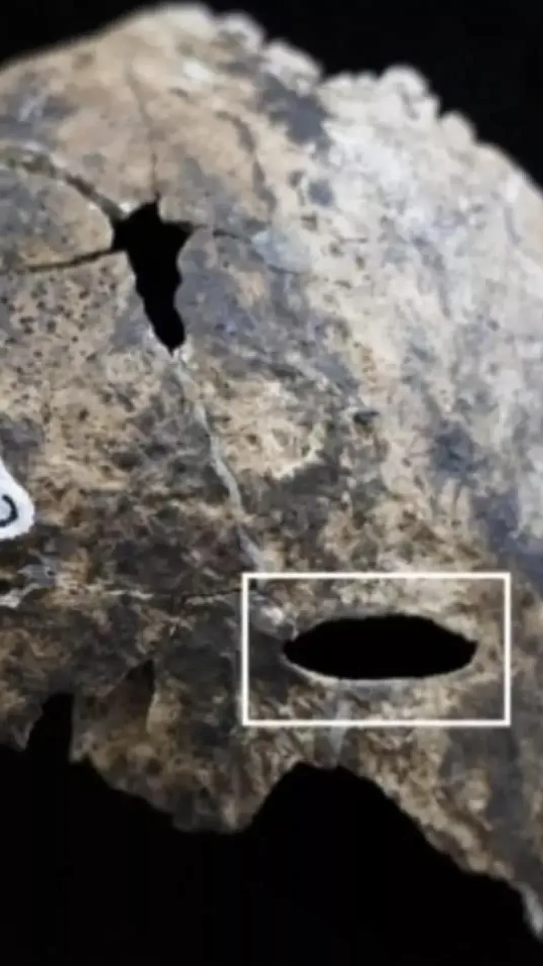 Arqueólogos fazem descoberta perturbadora dentro da ‘Caverna de Sangue’ usada pelos maias para rituais antigos