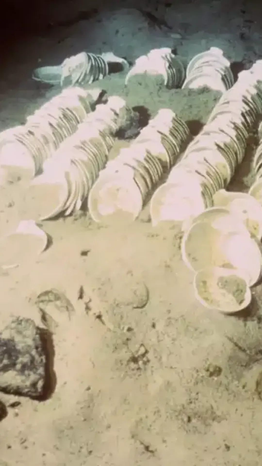 As pessoas estão apenas descobrindo o verdadeiro motivo pelo qual não há esqueletos nos destroços do Titanic