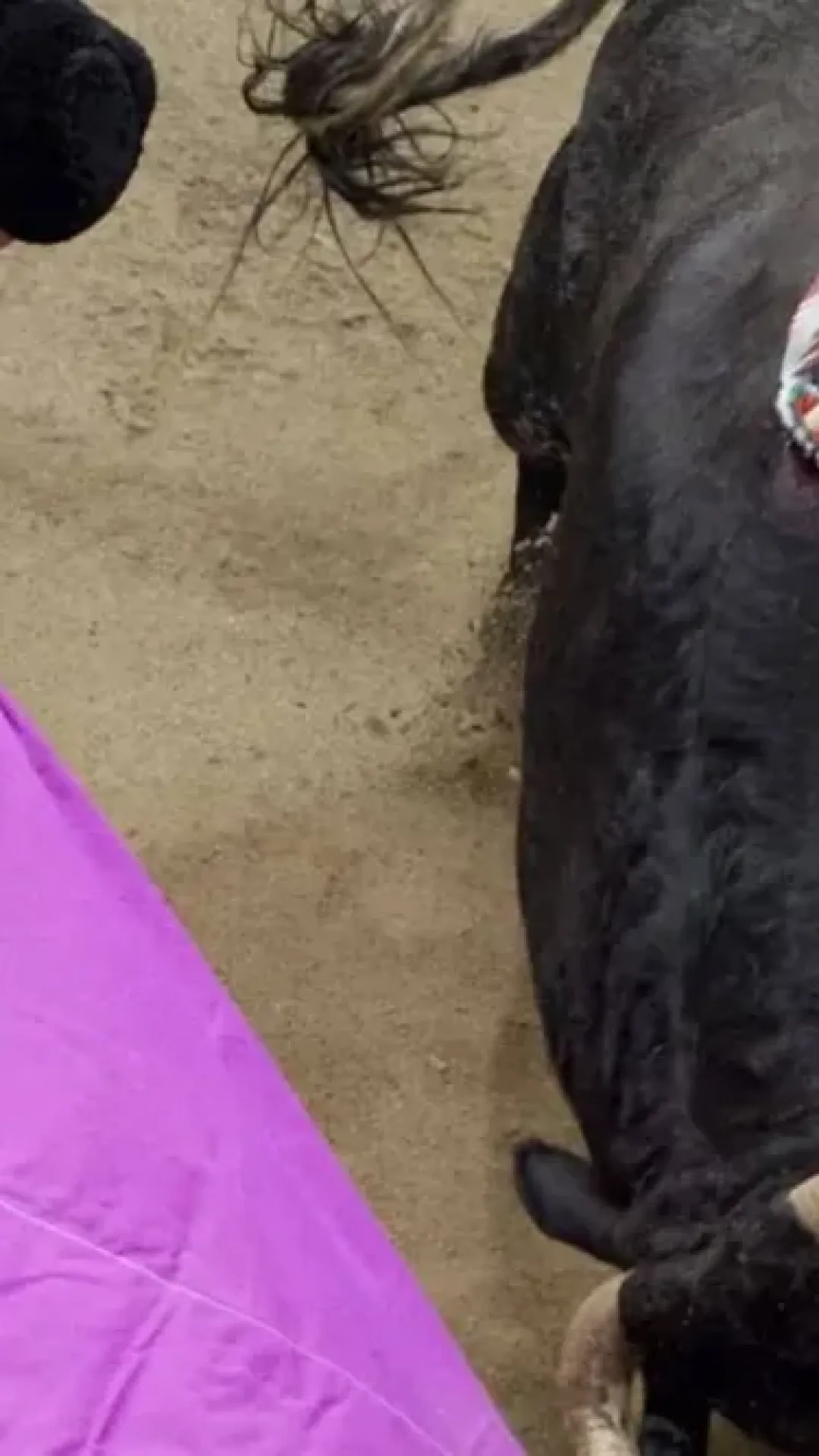 As últimas palavras arrepiantes do toureiro que morreu empalado por um touro após tropeçar em sua própria capa