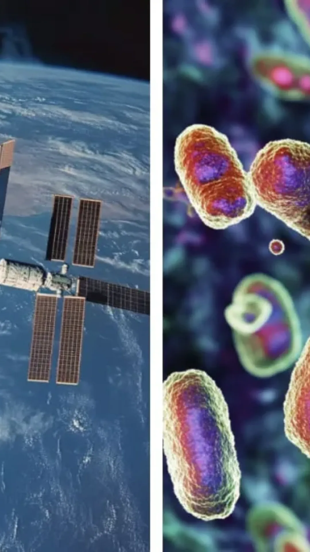 Bactérias sofreram mutação na Estação Espacial Internacional para algo nunca visto antes na Terra