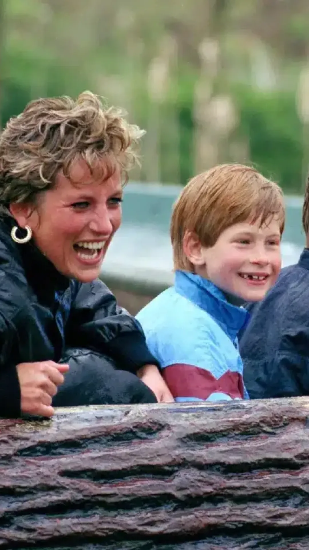 Bombeiro no local do acidente revelou as trágicas palavras finais que a princesa Diana disse a ele