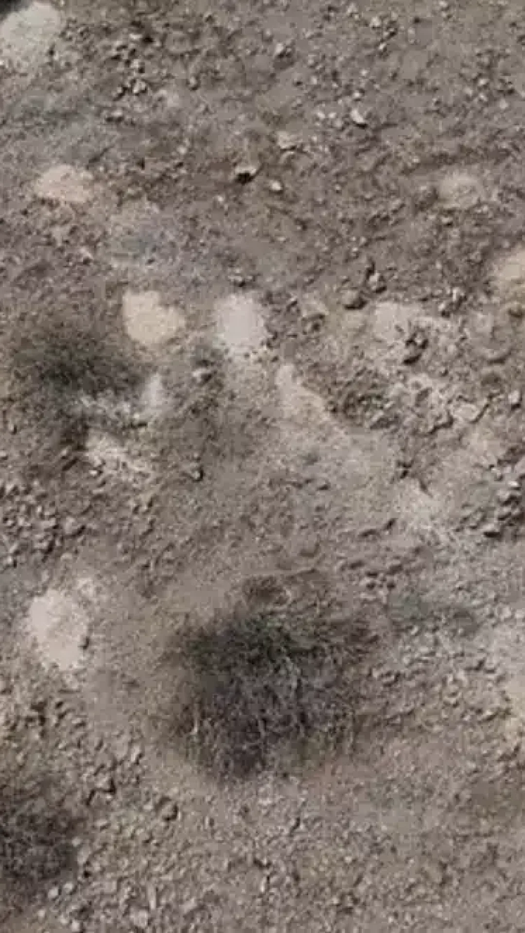 Busca em andamento após mais de 300 pilhas de restos humanos serem encontradas no deserto