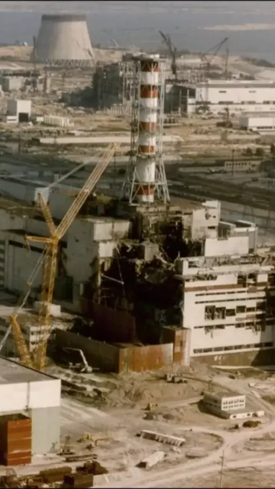 Cães que vivem perto da zona do desastre nuclear de Chernobyl desenvolveram um “superpoder”
