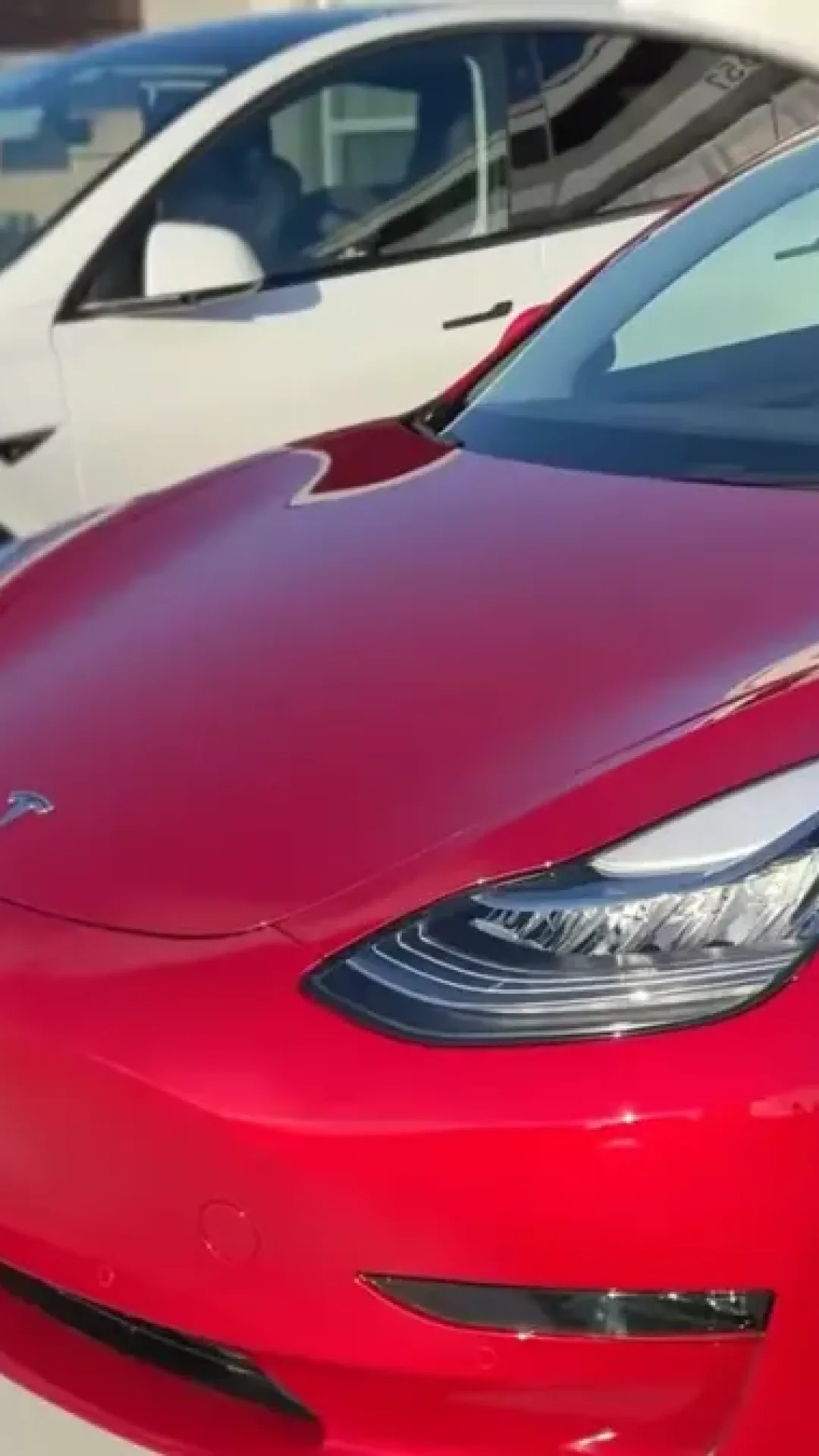 Casal que comprou um Tesla cada um e dirigia cerca de 800 km por semana fica chocado ao comparar a conta de luz