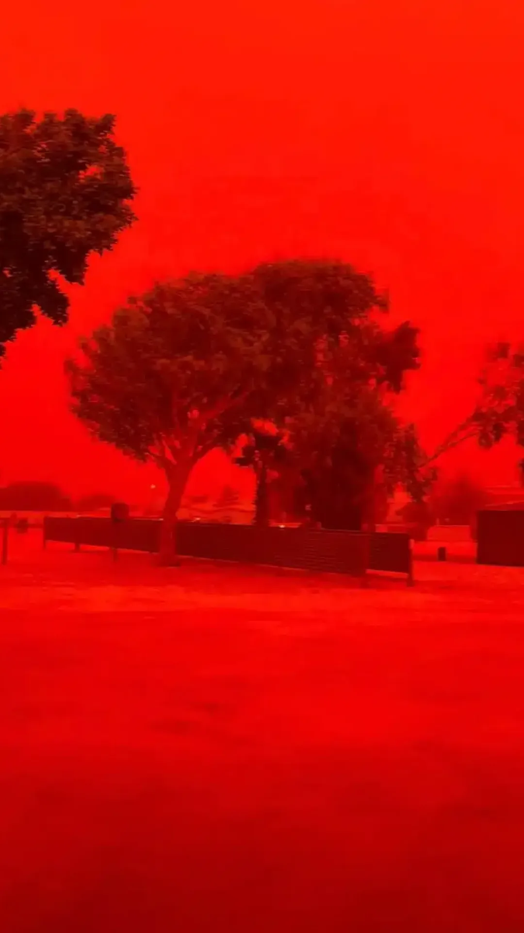 Céu fica vermelho-sangue em alerta ominoso para a Austrália