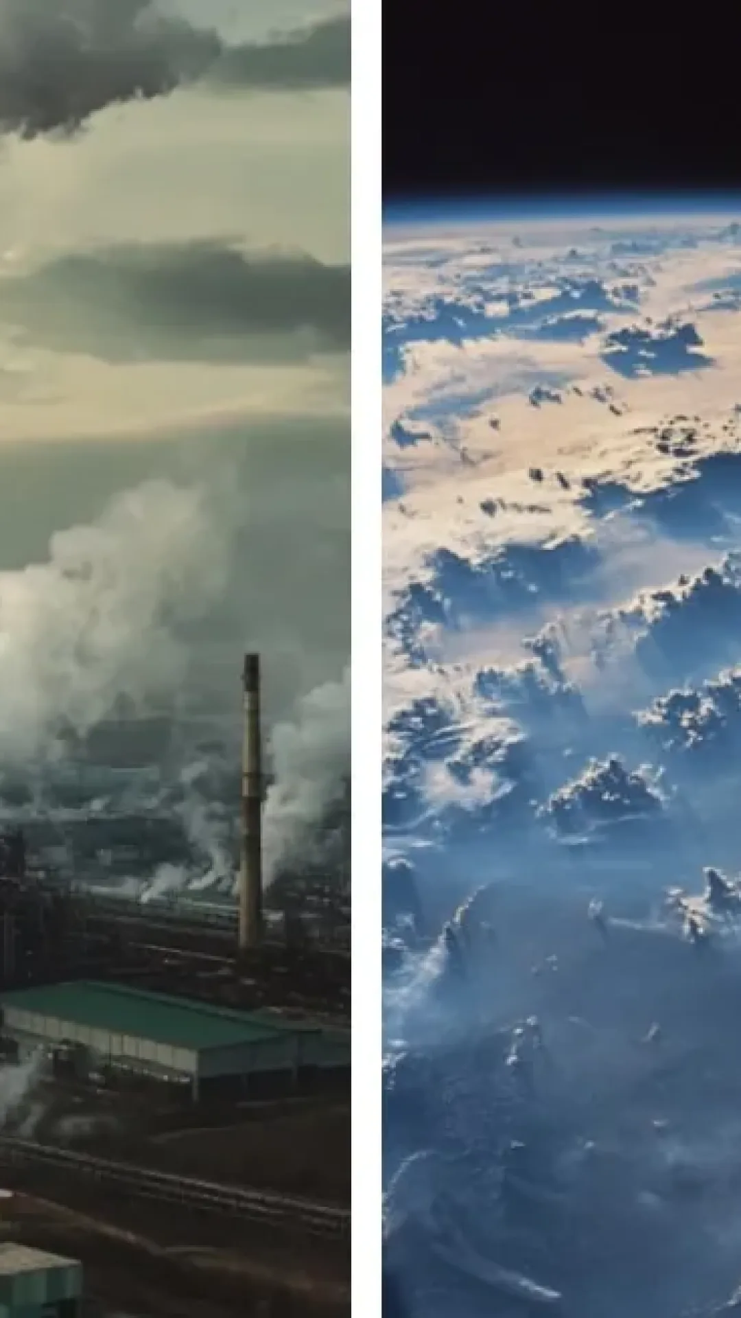 Cientistas emitem alerta assustador sobre o futuro da Terra após descobrirem que árvores e solo quase não absorveram CO2 no ano passado
