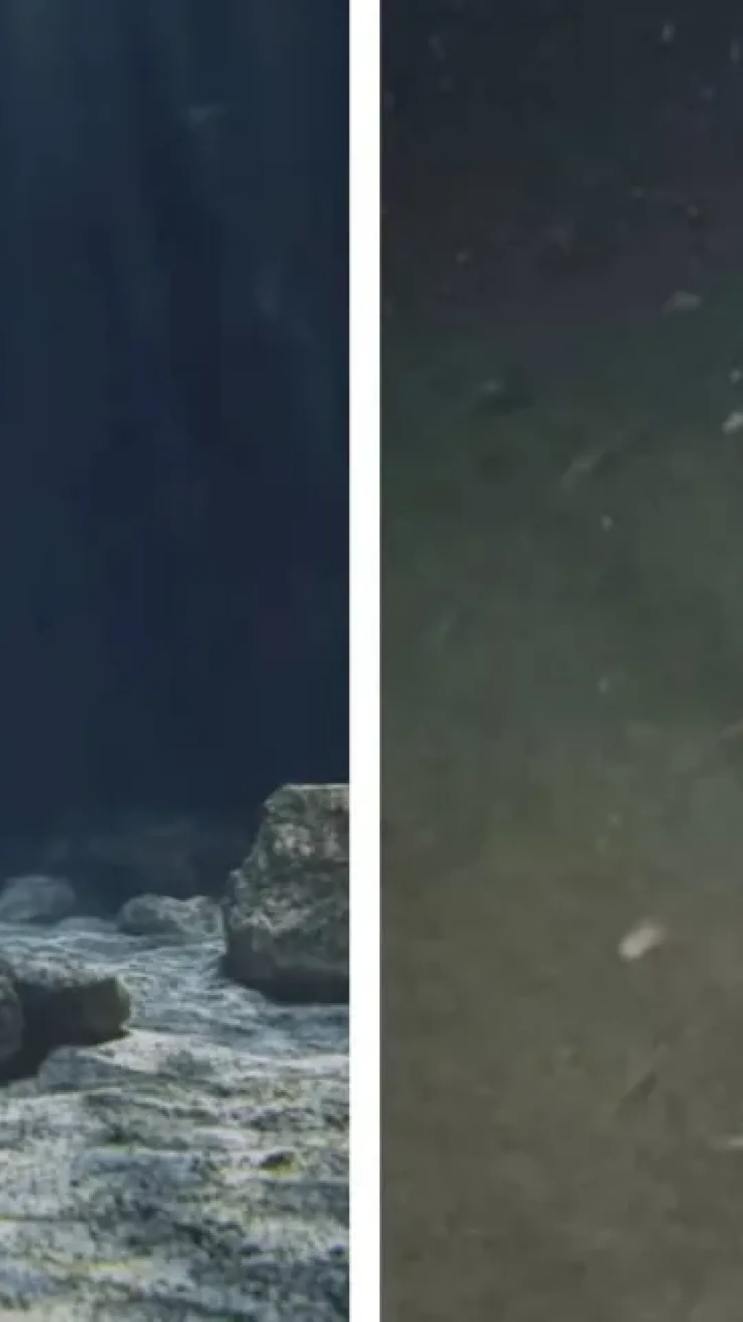 Cientistas finalmente conseguem explicar o misterioso som detectado a milhares de metros abaixo da superfície do oceano
