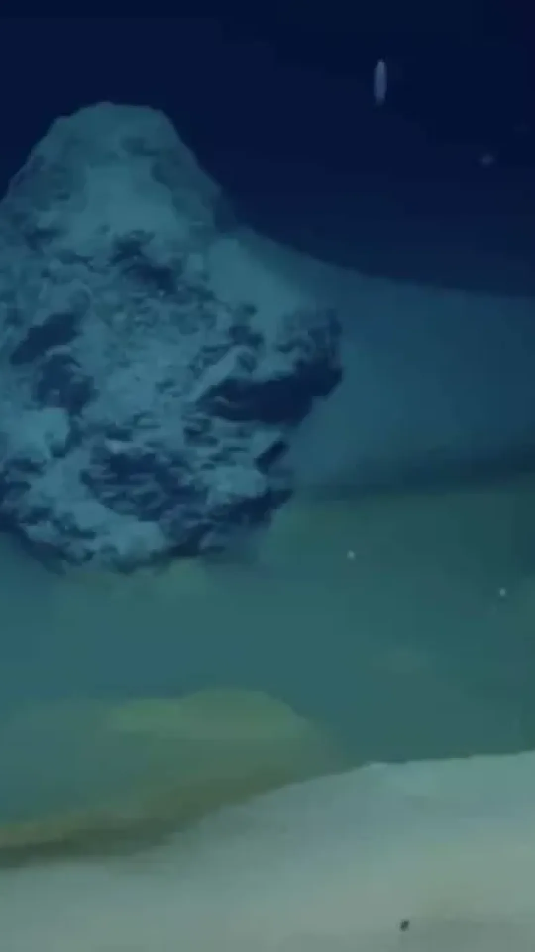 Cientistas fizeram uma descoberta terrível e desoladora ao chegarem ao fundo do Mar Vermelho