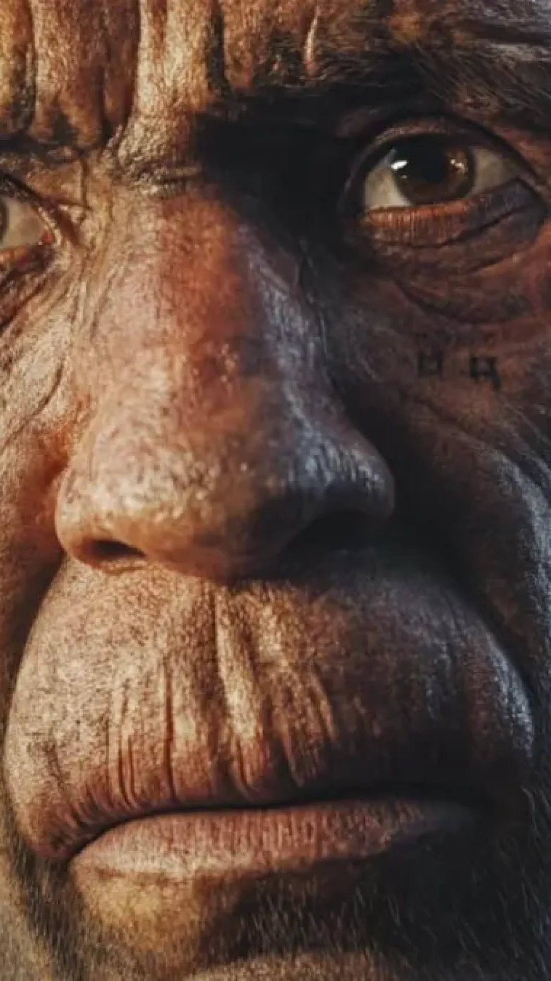 Cientistas revelam prova de que humanos fizeram sexo com 3 populações diferentes de uma espécie extinta.