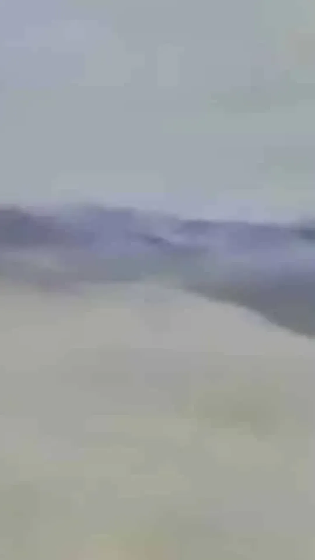 Cientistas revelam razão aterradora para tubarões estarem na praia; filmagem chocante mostra ataque