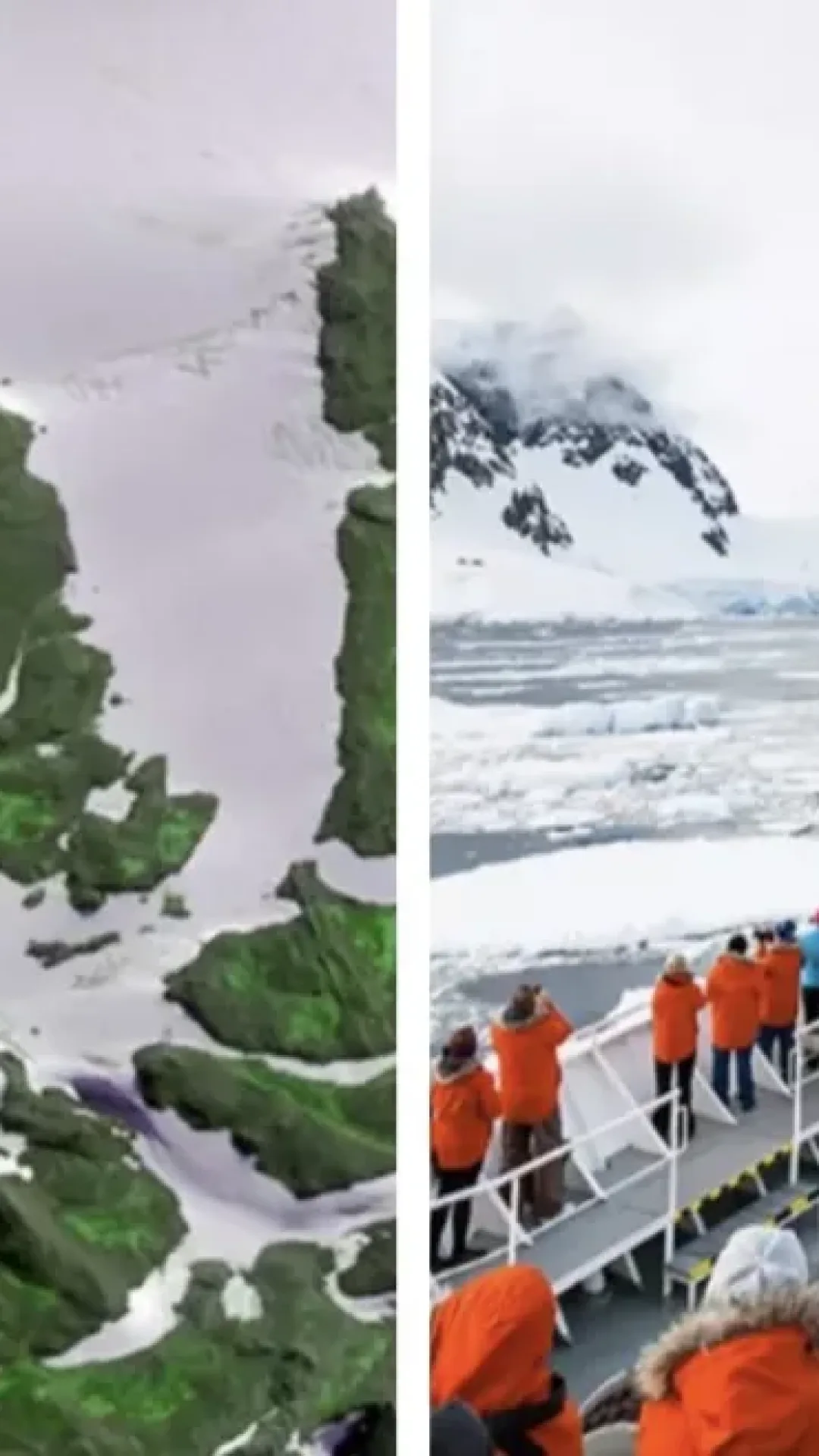 Cientistas têm “sérias preocupações” após imagem mostrar a Antártida ficando verde em um ritmo “dramático”