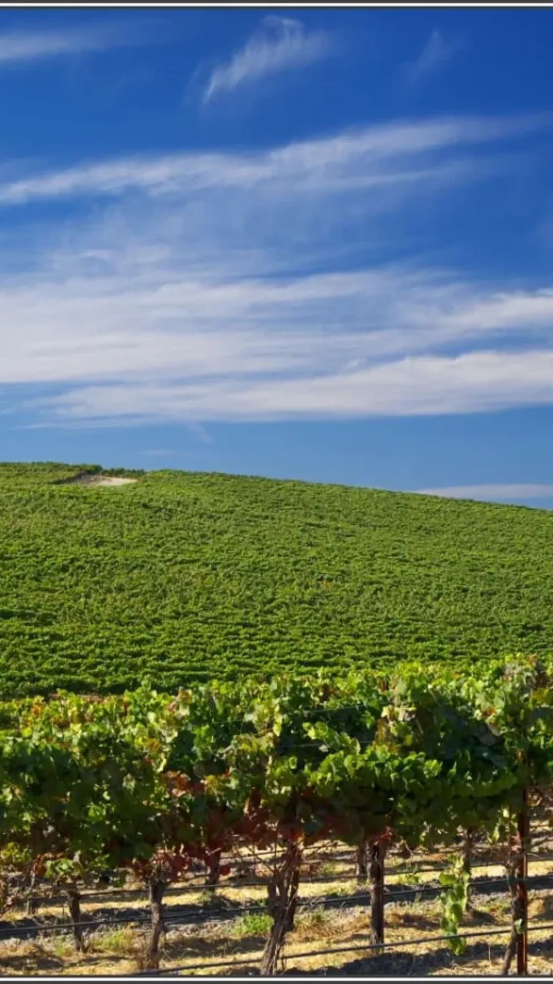 Como está a colina do papel de parede do Windows XP 27 anos depois?