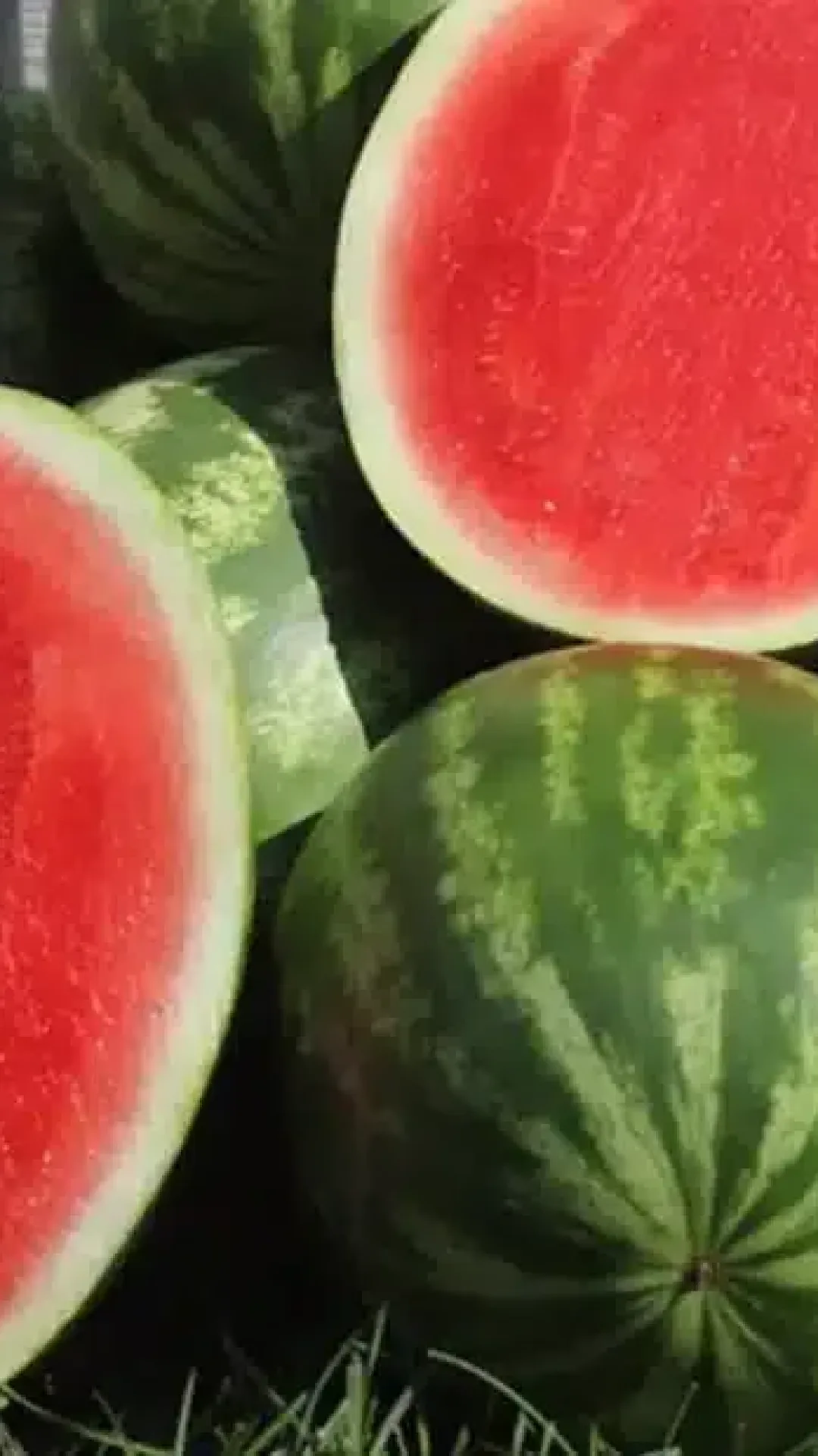De onde vêm as sementes para plantar frutas sem sementes?