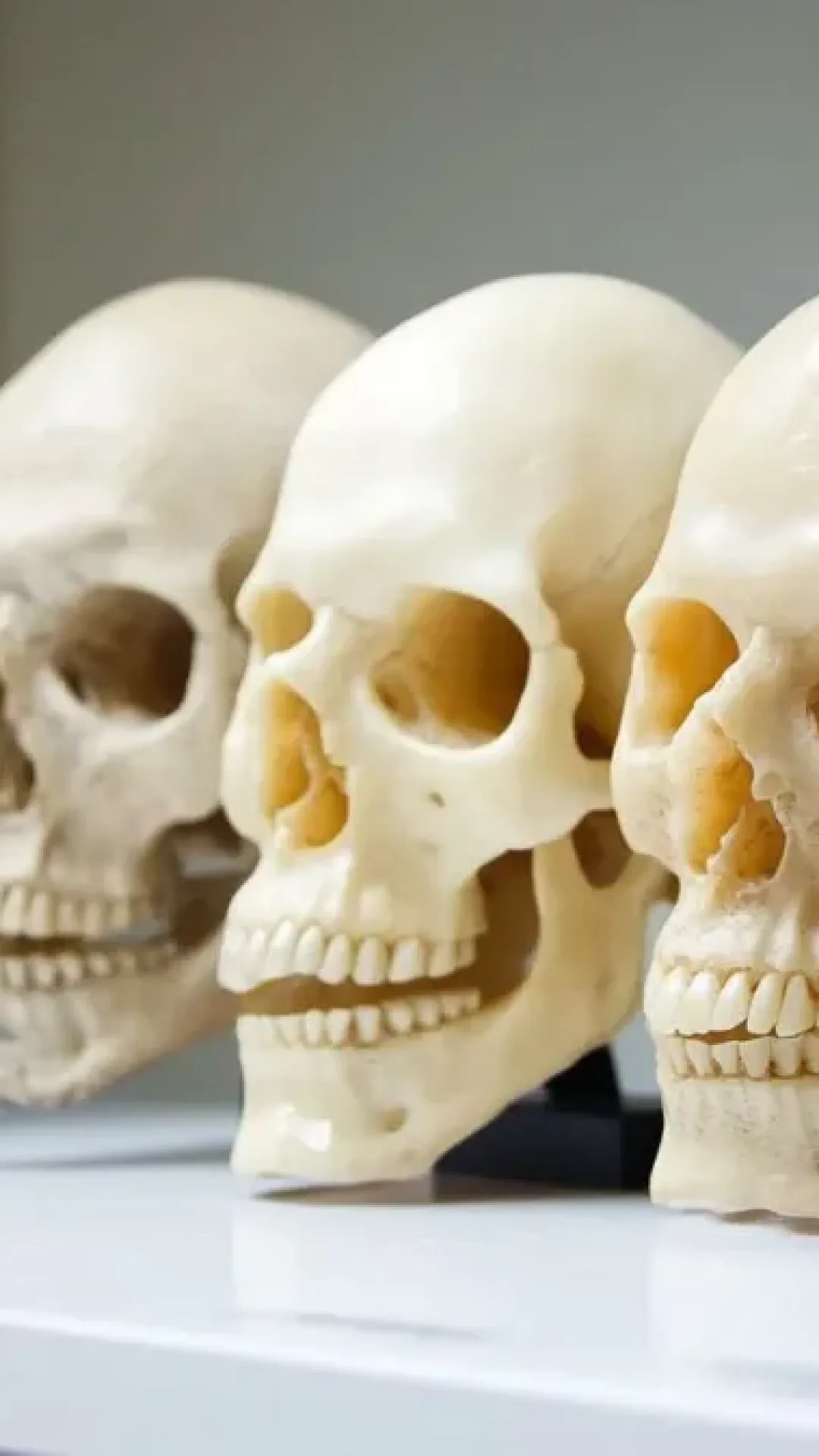Descoberta uma nova espécie de humanos antigos