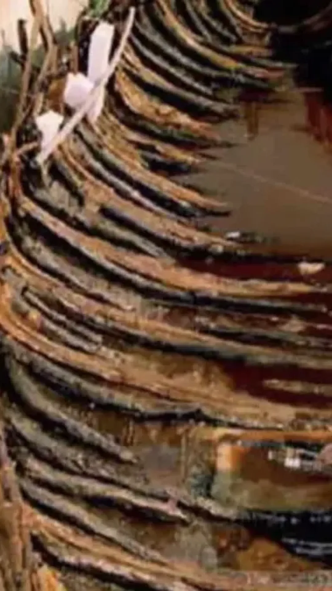 Detalhes importantes da vida de Jesus são descobertos em impressionante barco de 2.000 anos