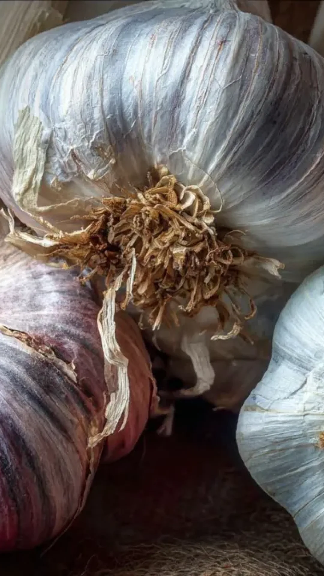 Esqueça o micro-ondas: o alimento que perde quase todos os nutrientes quando reaquecido