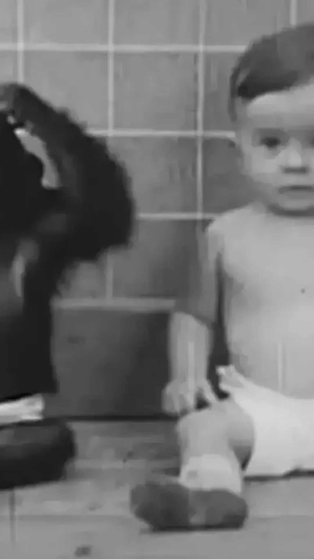 Família forçou filho de nove meses a crescer com chimpanzé em experimento ‘perturbador’ que teve um final trágico