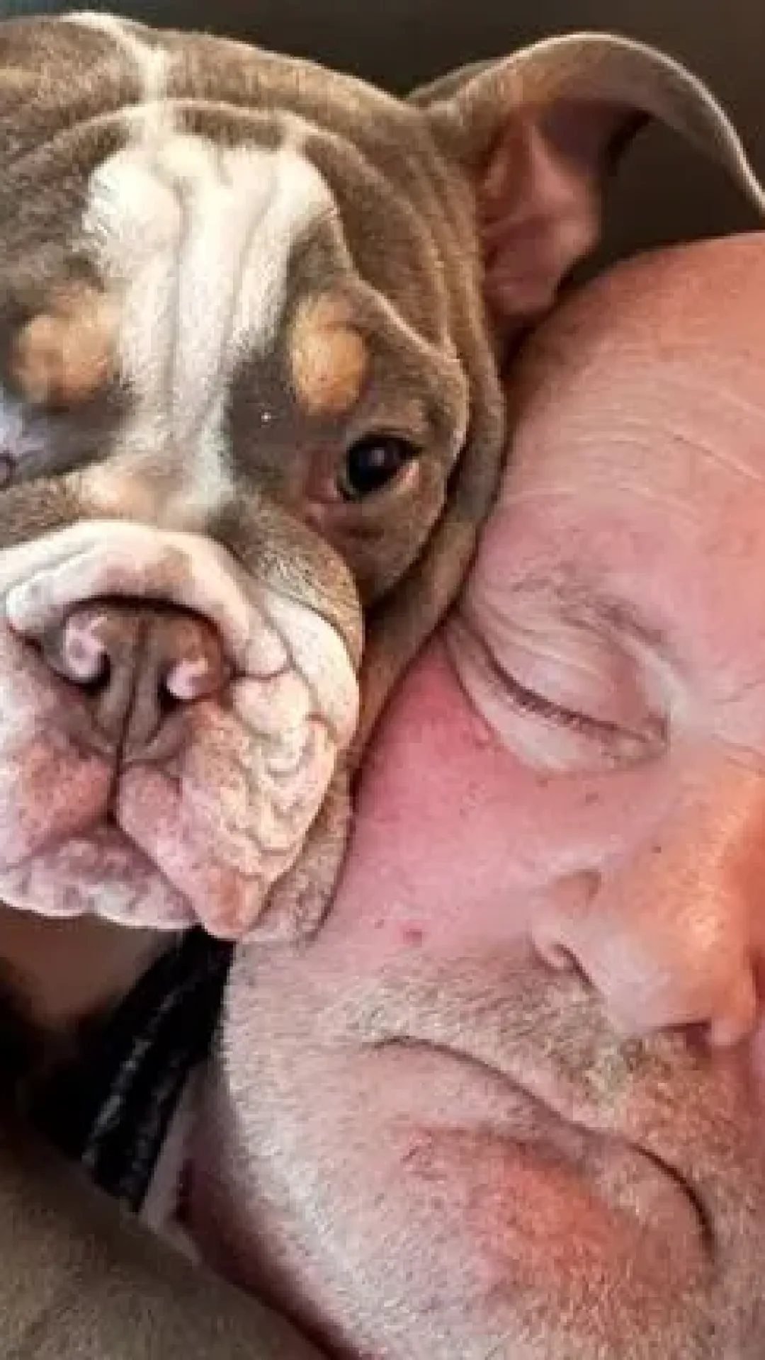 Filhote ‘salvou a vida do dono’ após mastigar seu dedo até o osso enquanto ele dormia