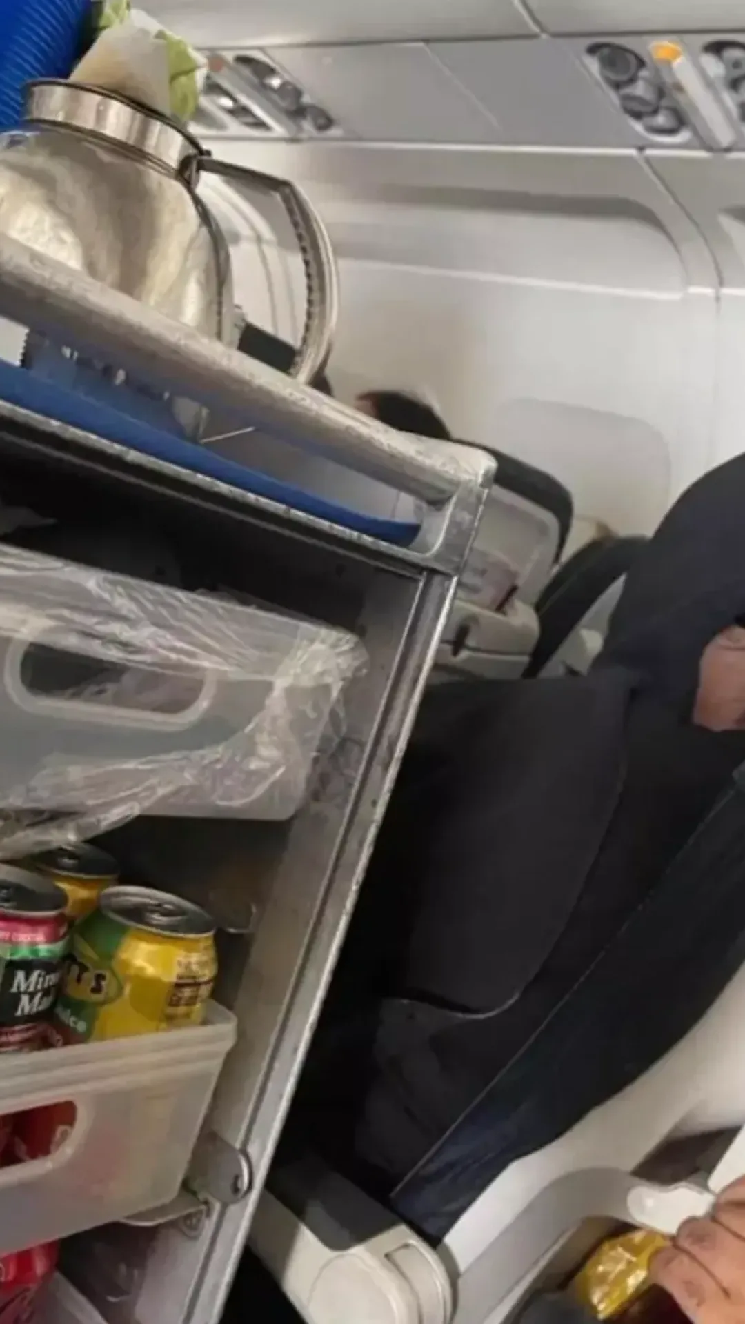 Foto assustadora tirada por passageiro em avião deixa internautas chocados, até descobrirem o que realmente é