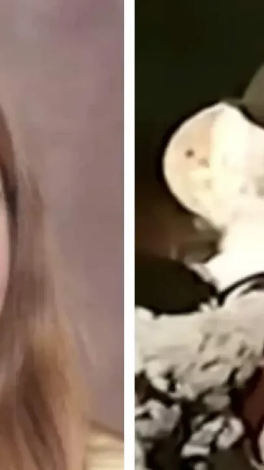 Funcionária adolescente da Disneyland sofreu uma das piores mortes imagináveis em uma atração que não existe mais