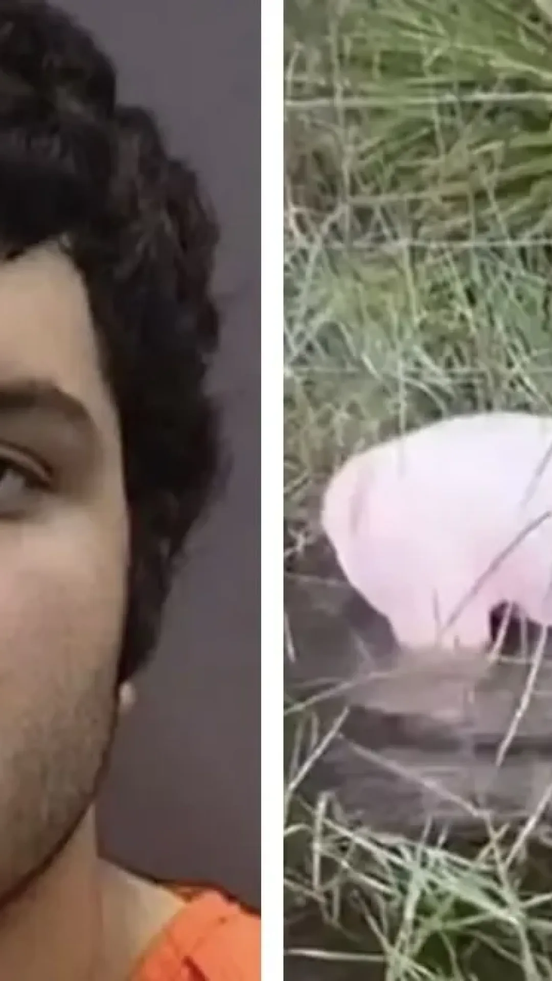 Homem cujo cão foi encontrado amarrado a uma cerca durante o furacão Milton dá uma razão chocante para o ato