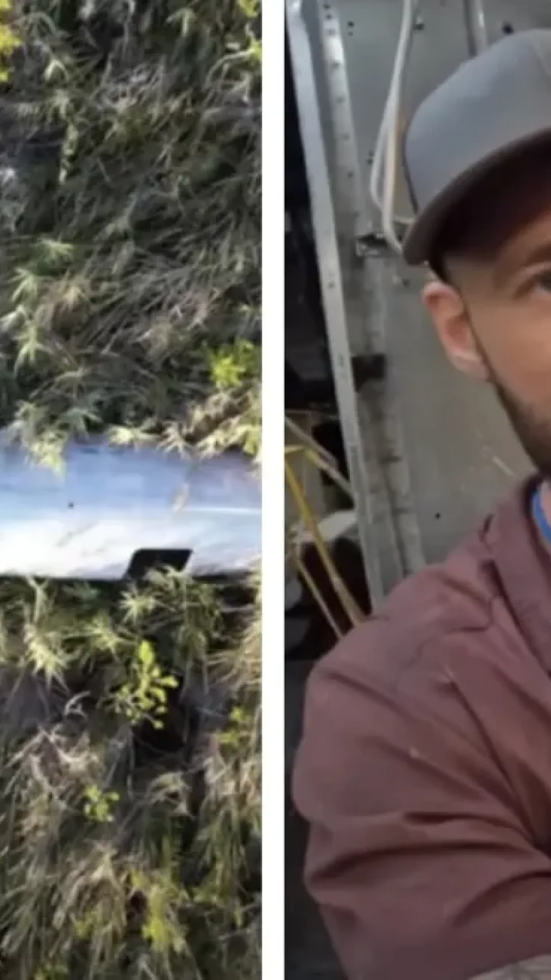 Homem fez uma jornada de três dias para encontrar “avião de drogas abandonado de Pablo Escobar” e compartilhou o que encontrou dentro