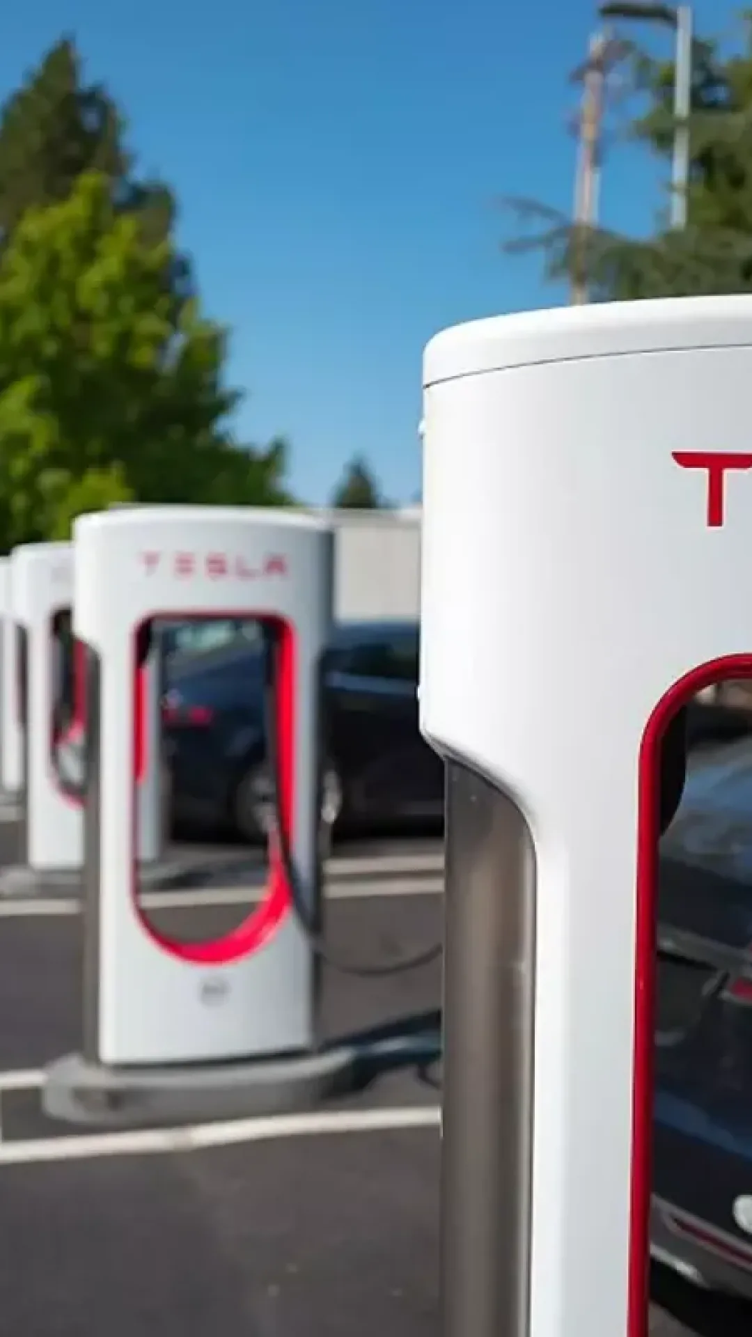Homem que dirigiu um Tesla de 9 anos com 400.000 km rodados revela como a bateria se manteve ao longo do tempo