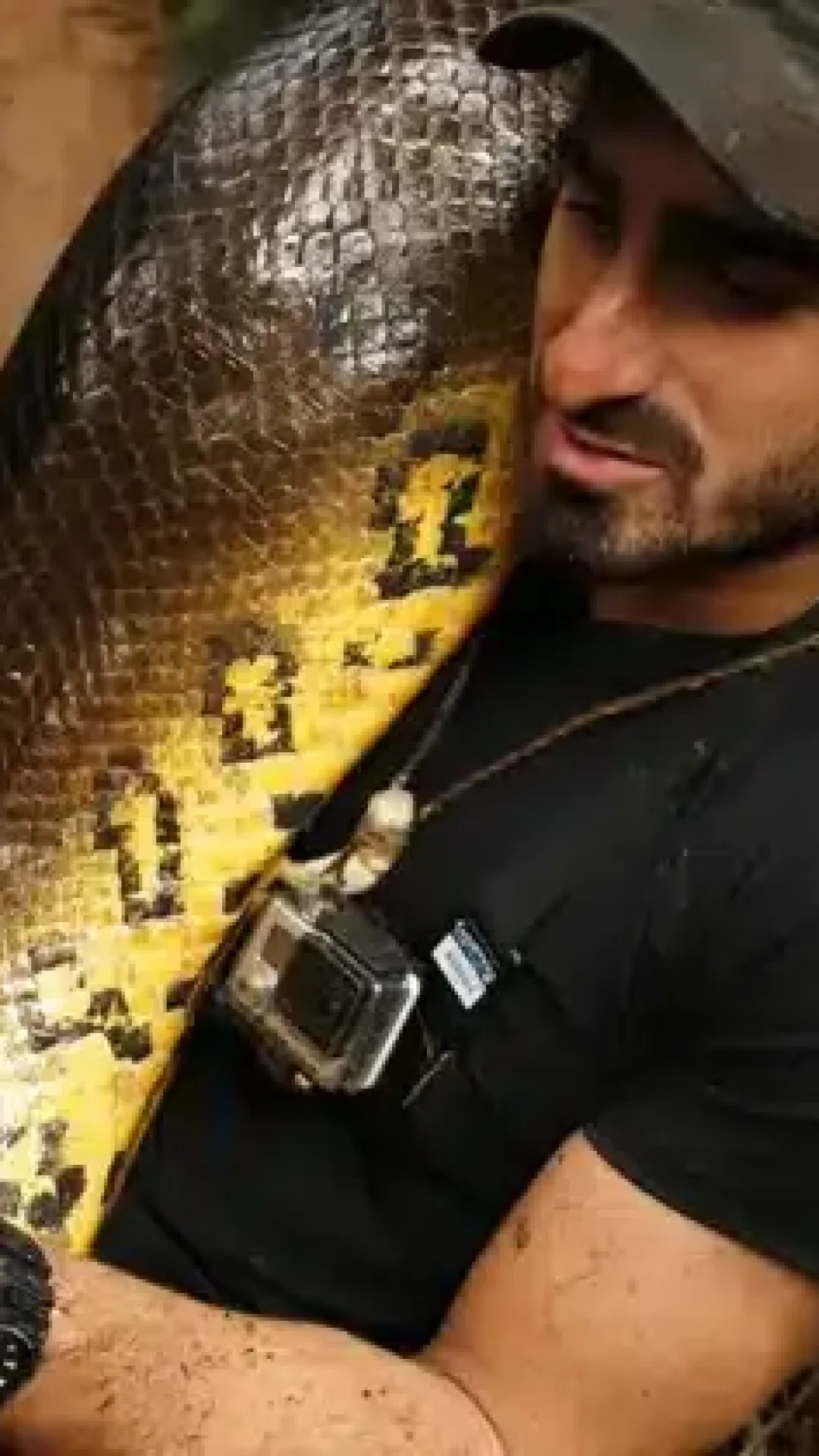 Homem que tentou ser engolido vivo pela maior cobra do mundo na TV se arrependeu imediatamente da decisão