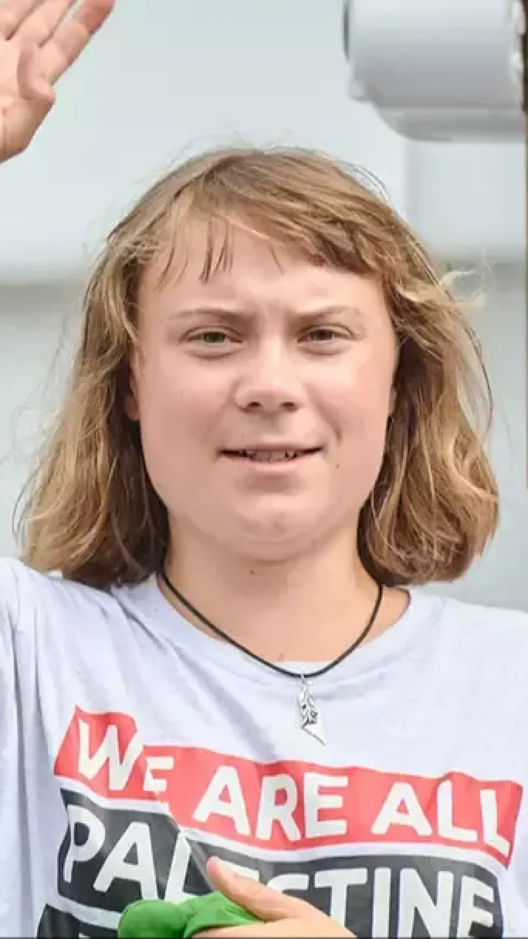 Israel divulga atualização após Greta Thunberg ter sido supostamente “maltratada” e mantida em uma “cela infestada de percevejos” durante a detenção