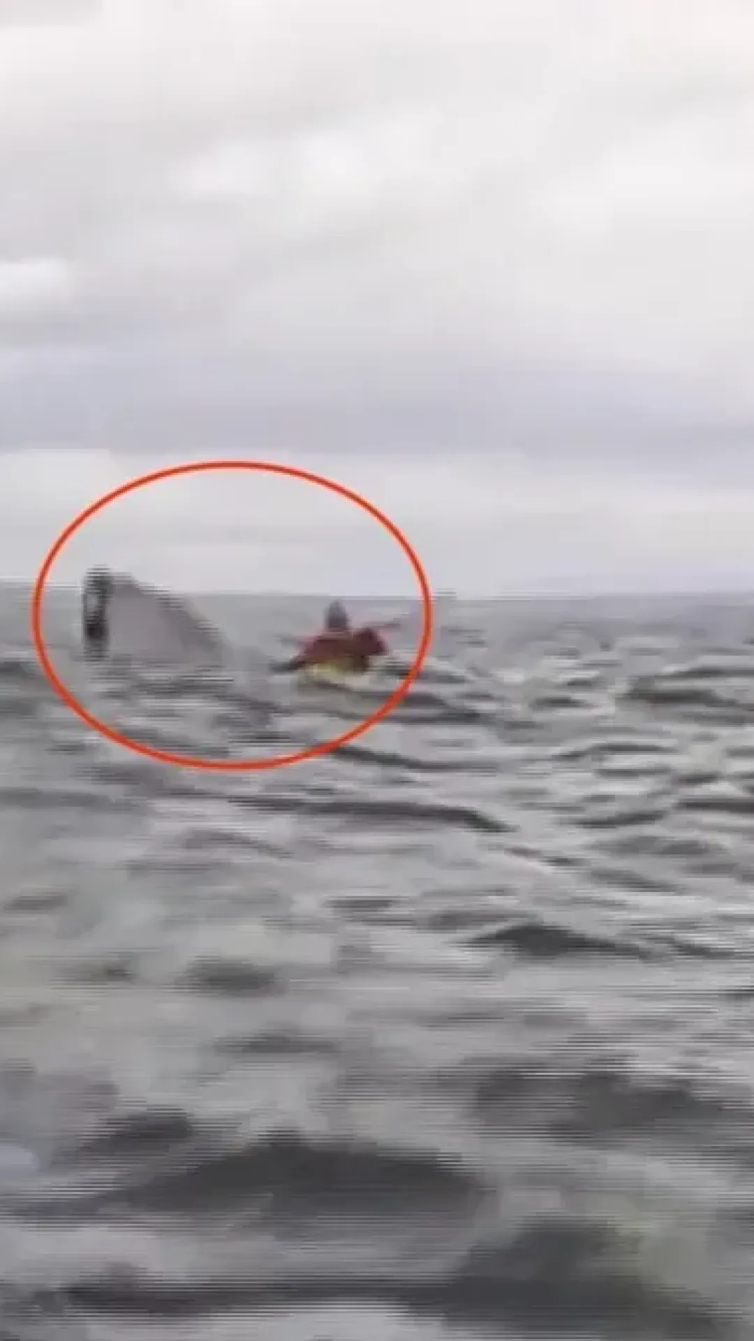 Jovem descreve momento em que foi ‘engolido por uma baleia’ enquanto pai compartilha vídeo chocante