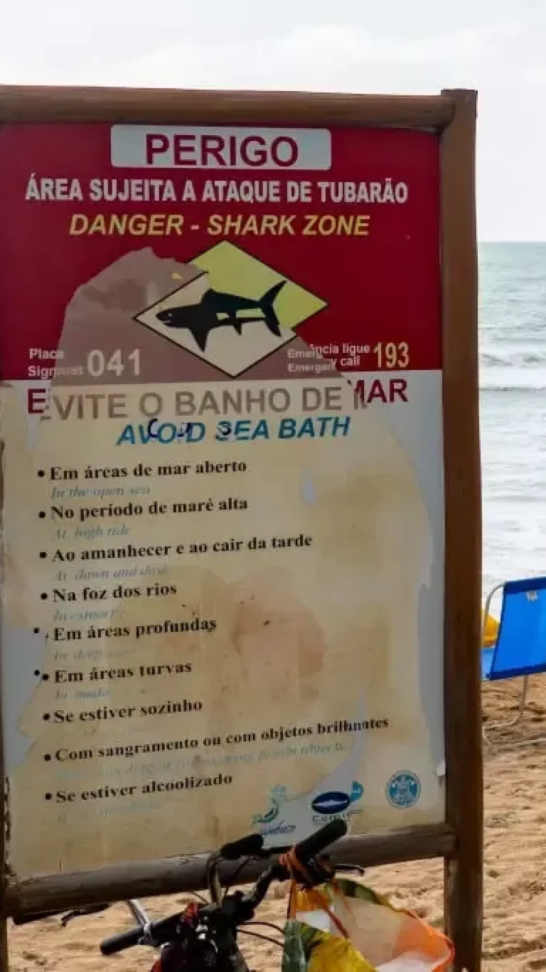 Menino de 13 anos morre após ser atacado por um tubarão em uma praia no Brasil
