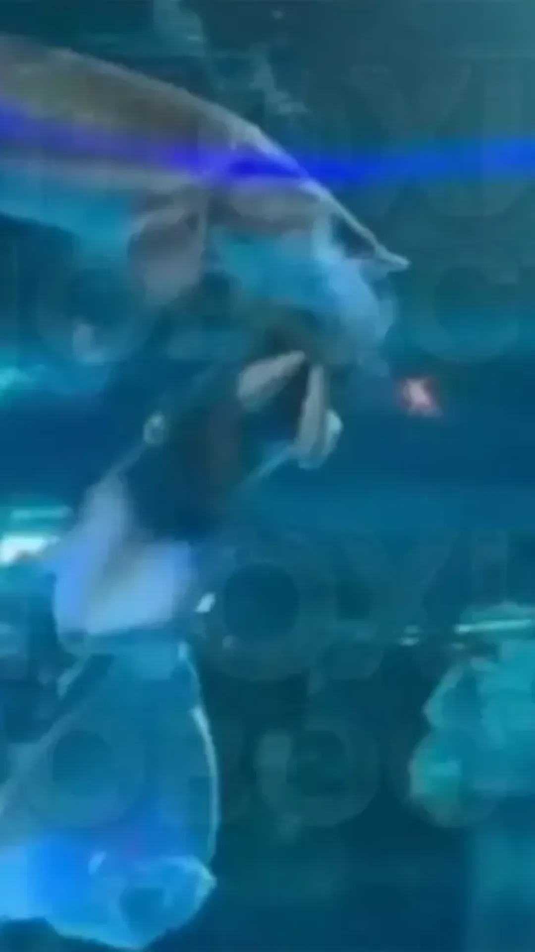 Momento aterrorizante em que peixe gigante ataca o rosto de mulher na frente de crianças assustadas