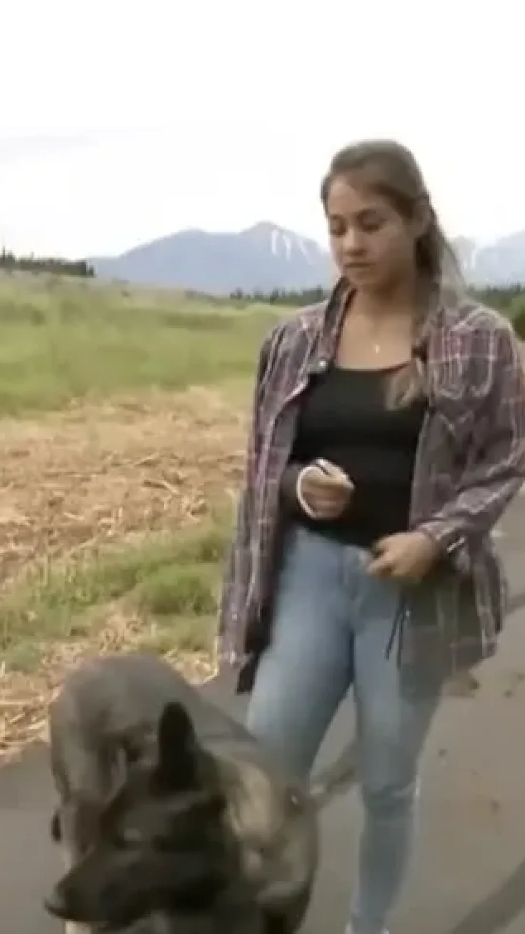 Mulher explica como um acessório de cabelo de $ 3 salvou sua vida enquanto sua cabeça estava na boca de um urso-pardo