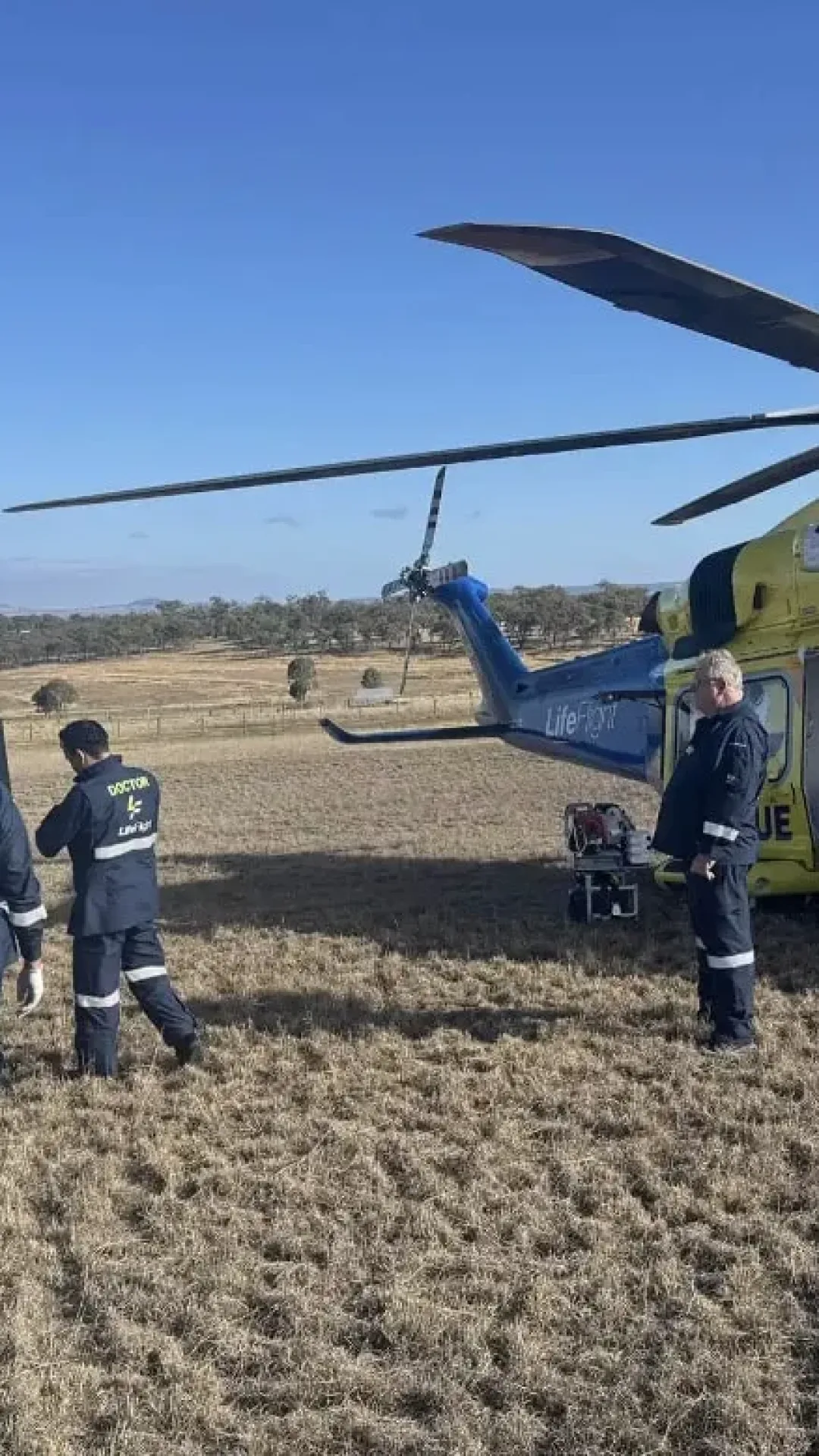 Mulher tem braço arrancado por leão em zoológico